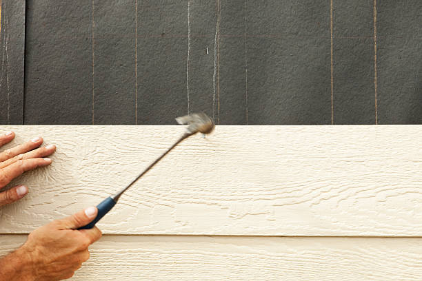 Best Steel Siding Installation  in Avalon, CA